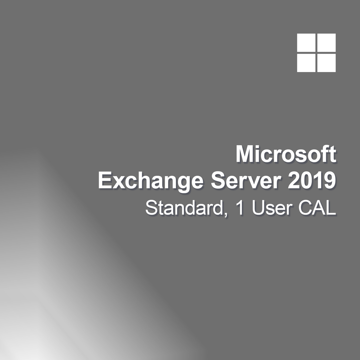 Microsoft Exchange Server 2019 Standard 1 User CAL